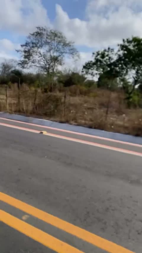 Corrida Padroeira de Santa Luzia 2025 — momento 24